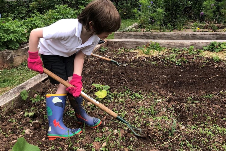 Schools can apply for Somerset Gardens Trust grants for gardening projects.