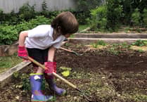West Somerset Schools: Garden Grant Opportunity