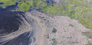 Warning over 'highly toxic' threat as temperatures soar