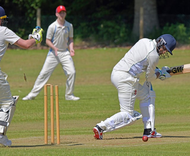 Hill hits unbeaten ton for Ashbrittle's second string 
