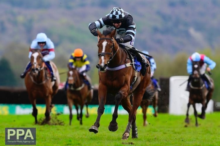 Holnicote point to point preview