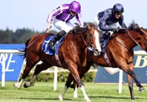 Sunshine racing at South Hill's point to point