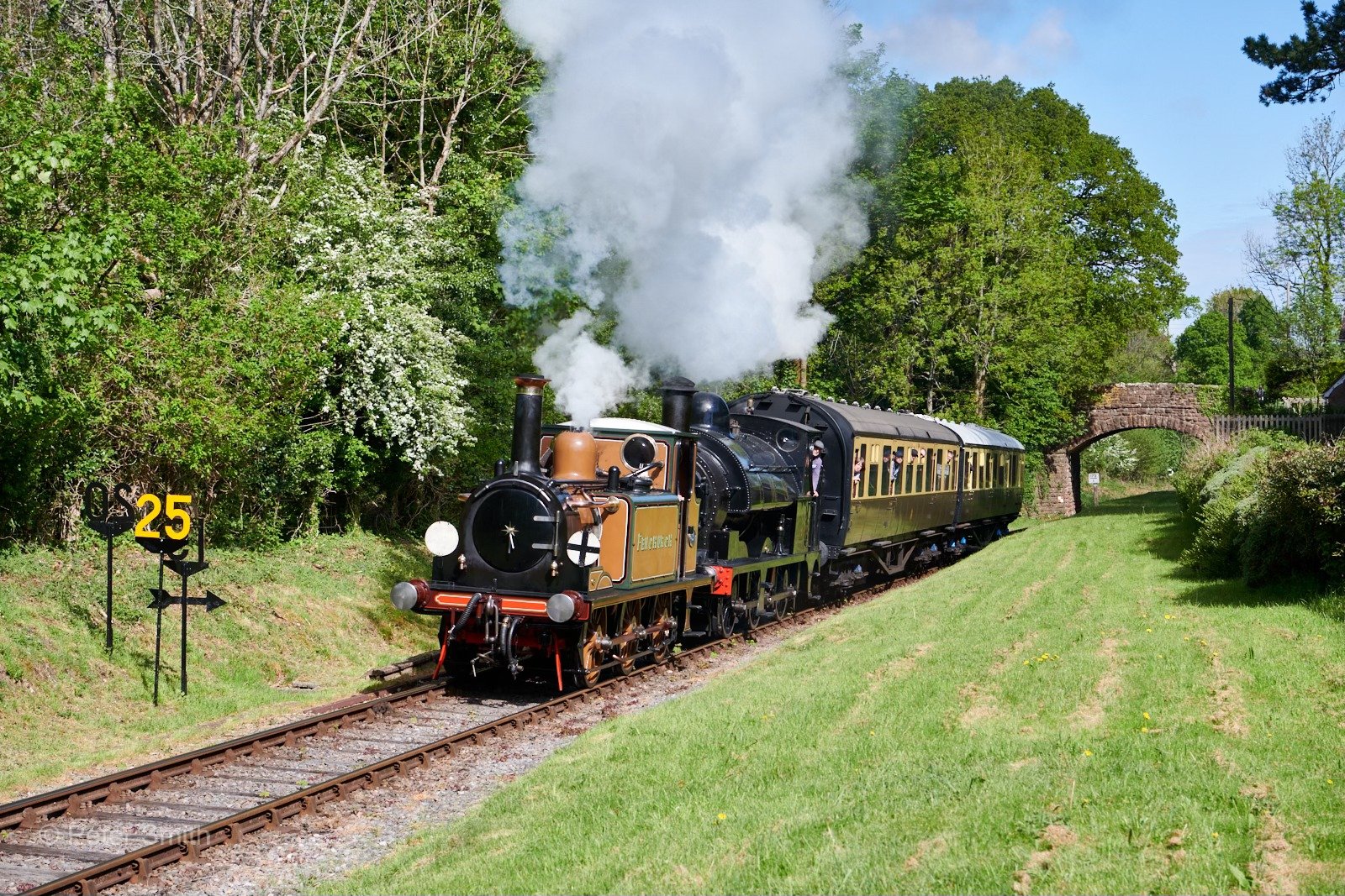 Spectacular success for West Somerset Railway steam gala as sunshine ...