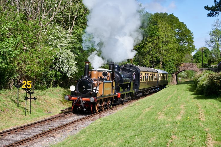 Fenchurch arrives at Crowcombe Heathfield during the West Somerset Railway's Bank Holiday weekend steam gala. PHOTO: Peter Smith.
