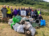 Volunteers sought for 'extreme' bleach clean