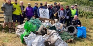 Volunteers sought for 'extreme' bleach clean