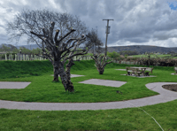 New tearoom owners want orchard to become tea garden
