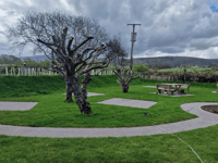New tearoom owners want orchard to become tea garden