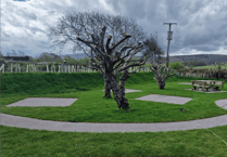 ‘Quintessentially English’ Exmoor tearoom applies to turn orchard into tea garden