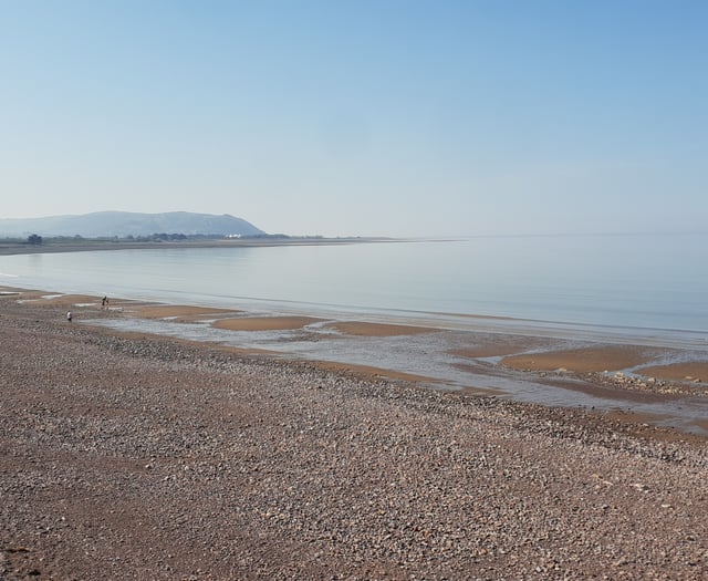 West Somerset beaches 'win' unwanted poo flags