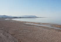 Brown flags show two beaches in West Somerset among dirtiest in the country