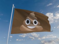 Beaches 'win' poo flags for third year