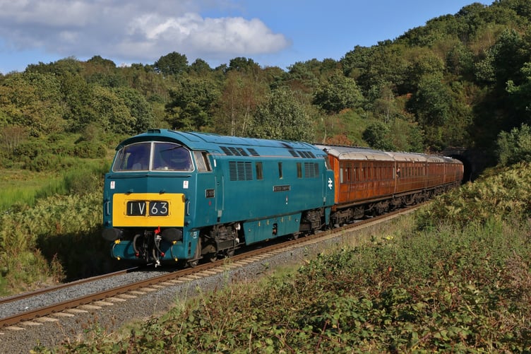 Visiting diesel locomotives will be taking part in a West Somerset Railway festival in June. PHOTO: Lee Robbins.