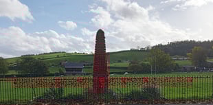 Town residents asked to become councillors