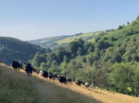 Funding extended again for nature projects