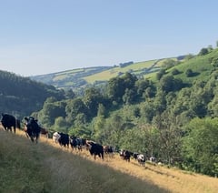 Funding extended again for nature projects