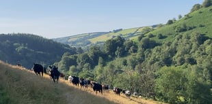Funding extended again for nature projects