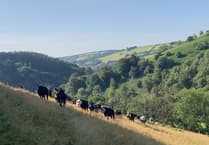 National park welcomes continued funding for nature-themed farm projects on Exmoor
