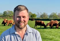 Sustainable farming grants restored for Exmoor and West Somerset farmers
