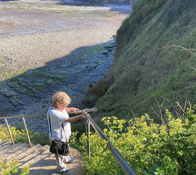 Somerset Cllr Rosemary Woods inspecting coastal erosion in Helwell Bay, between Watchet and Doniford,