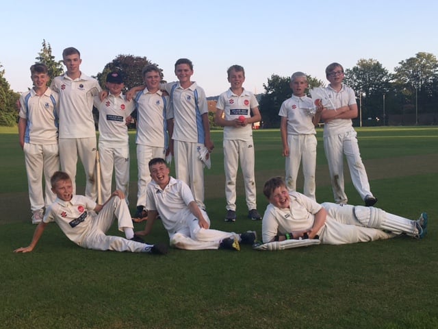 Taunton & District Youth Cricket League preview