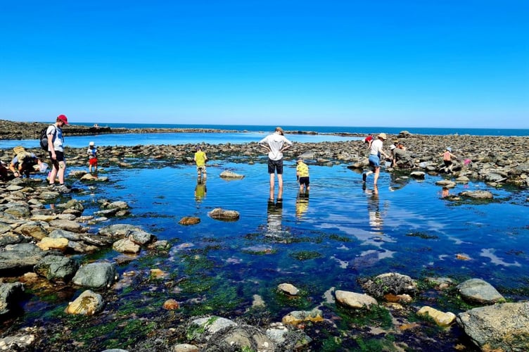 Rock pooling is among the activities making up this year's Exmoor Nature Festival starting on May 17. PHOTO: ENPA.