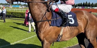 Ocean Heights wins first race on the flat -