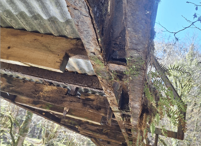 The deterioration of Hinds Pitt Bridge, on Exmoor, can be seen in this photograph of its underside. PHOTO: ENPA.