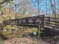 Bridge closed for public safety after structural faults
