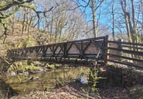 Park authority closes River Barle footbridge after structural faults discovered