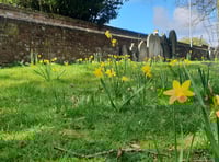 Turning churchyards into nature reserves