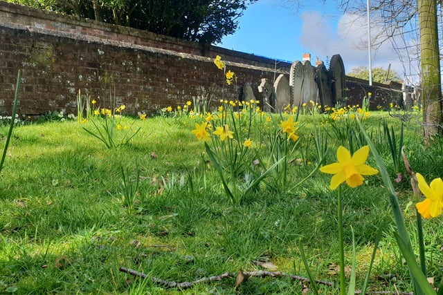 Turning churchyards into nature reserves