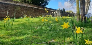 Turning churchyards into nature reserves