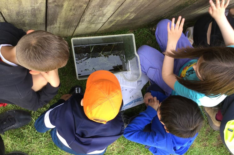 Examining the results of pond dipping at Farm School Exmoor are visiting children from Minehead Middle School. PHOTO: MMS.