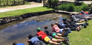 Pupils enjoy farm school education