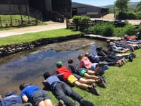 Pupils enjoy farm school education