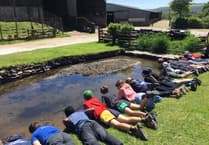 Colwill family's Farm School Exmoor hosts year five pupils from Minehead