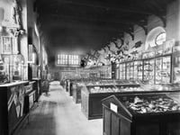 Museum of Somerset celebrates 150 years