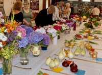 Village 'revving up' for flower show