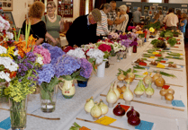 Garden or not, something for everybody at Wootton Courtenay Flower Show