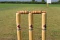Carhampton lose thrilling home game by four runs