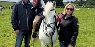 Young Harney forced to quit riding following nasty fall 