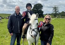 Young Harney forced to quit riding following nasty fall