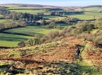Following the footsteps of ancient pilgrims