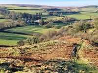 Following the footsteps of ancient pilgrims