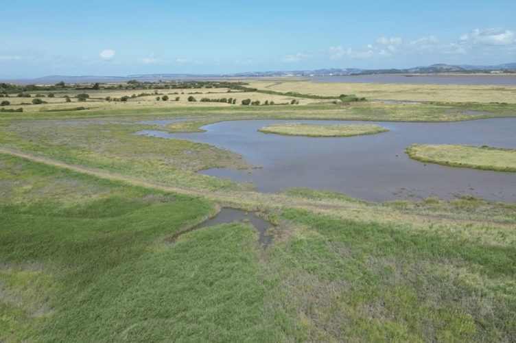 Looking down on Steart Marshes. PHOTO: WWT.