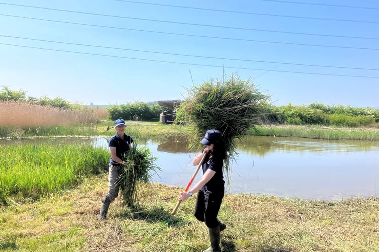 Volunteers at work on Steart Marshes. PHOTO: WWT.