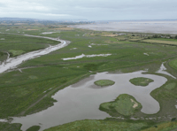 First world saltmarsh day is celebrated