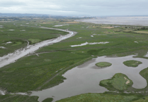 Trust explains why West Somerset's saltmarsh habitat is so important