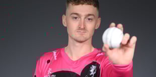 Smashing Somerset top Vitality Blast table